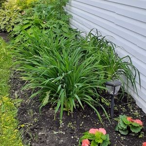 Meet your Posher, Claire